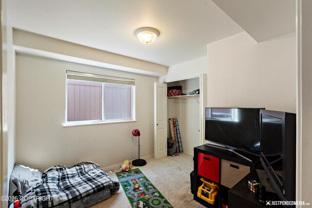 1957 Terrebonne Loop, Anchorage, AK 99502 - bedroom featuring carpet floors and a closet