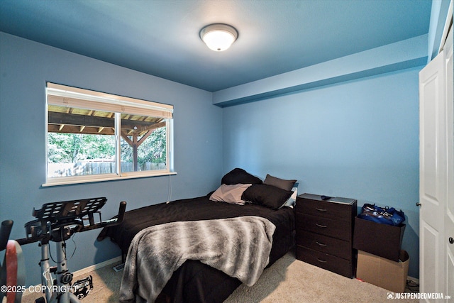 1957 Terrebonne Loop, Anchorage, AK 99502 - view of carpeted bedroom