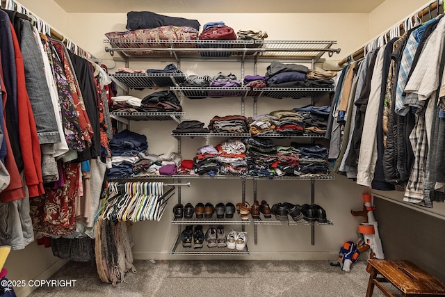 1061 E Agate Ln, Wasilla, AK 99654 - walk in closet featuring carpet flooring