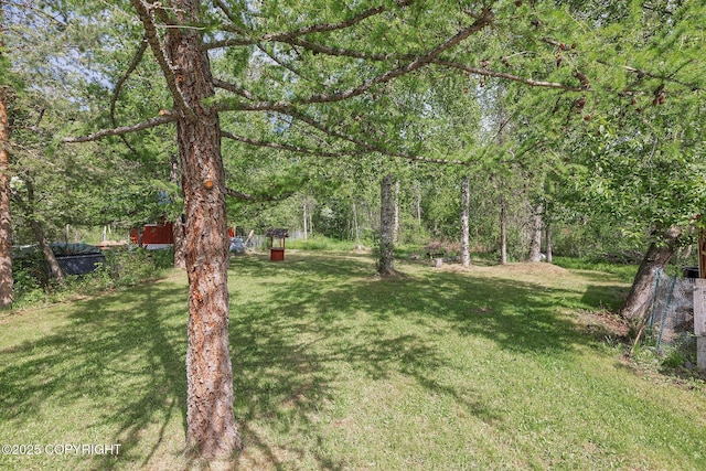 1061 E Agate Ln, Wasilla, AK 99654 - view of green lawn