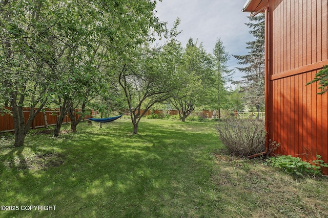 1061 E Agate Ln, Wasilla, AK 99654 - view of yard