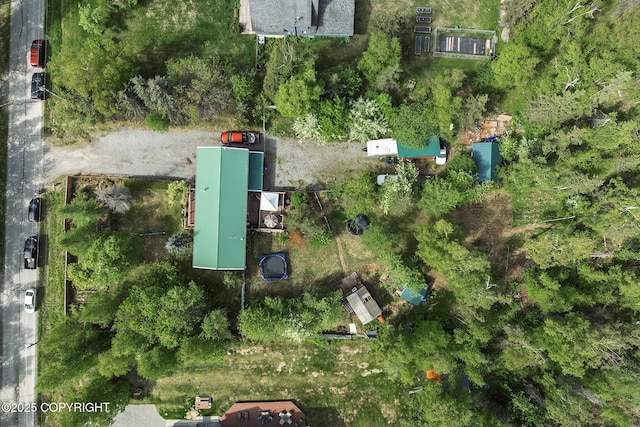 1061 E Agate Ln, Wasilla, AK 99654 - bird's eye view