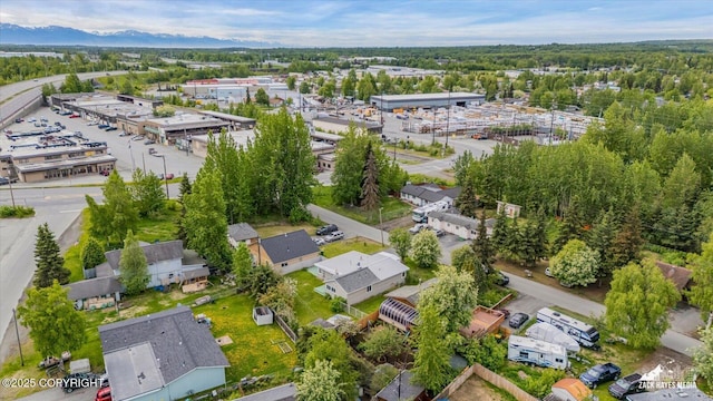 4313 Lois Dr, Anchorage, AK 99517 - view of property location