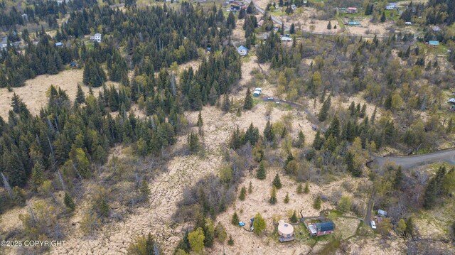 55851 Glenn Rd, Homer, AK 99603 - aerial view of property and surrounding area