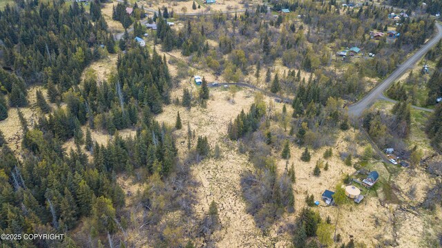 55851 Glenn Rd, Homer, AK 99603 - aerial view of property's location