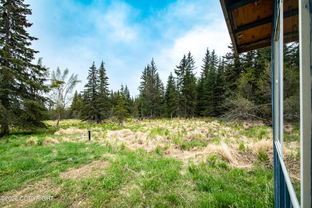 55851 Glenn Rd, Homer, AK 99603 - view of yard