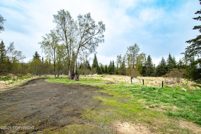 55851 Glenn Rd, Homer, AK 99603 - view of yard