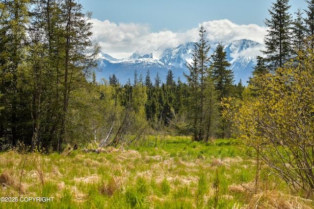 55851 Glenn Rd, Homer, AK 99603 - view of mountain backdrop with a heavily wooded area