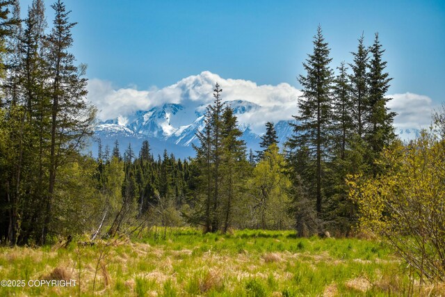 55851 Glenn Rd, Homer, AK 99603 - view of mountain backdrop with a forest