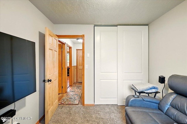 664 E Auklet Ave, Palmer, AK 99645 - living area featuring carpet and a textured ceiling