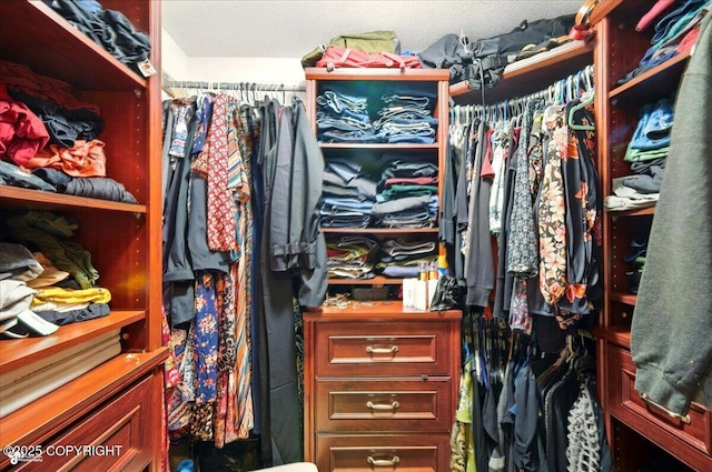 664 E Auklet Ave, Palmer, AK 99645 - view of walk in closet