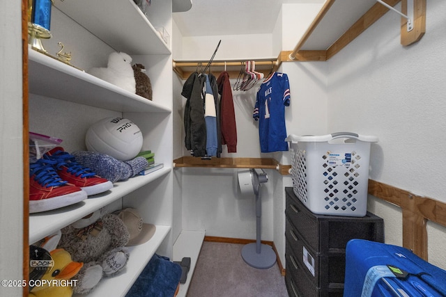 9224 Geese Cir, Eagle River, AK 99577 - walk in closet featuring carpet flooring