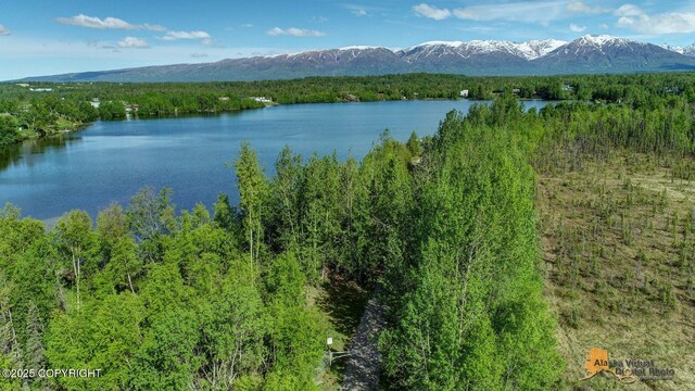 700 N Colonial Dr, Wasilla, AK 99654 - photo 11