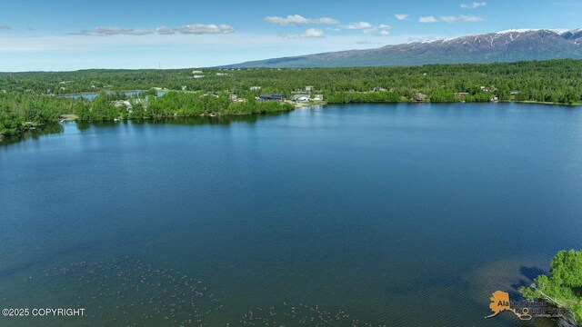 700 N Colonial Dr, Wasilla, AK 99654 - photo 12