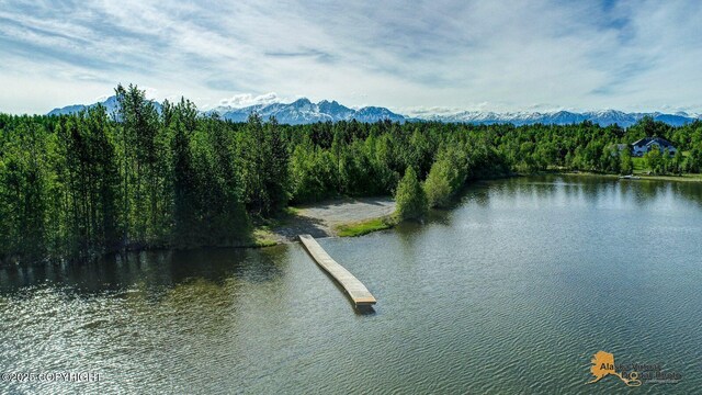 700 N Colonial Dr, Wasilla, AK 99654 - photo 10