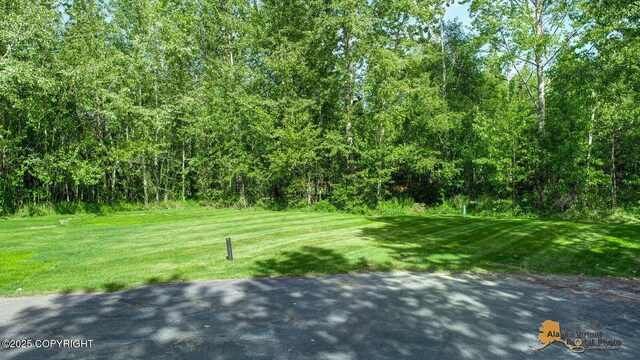 700 N Colonial Dr, Wasilla, AK 99654 - photo 3