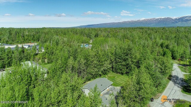 700 N Colonial Dr, Wasilla, AK 99654 - photo 4
