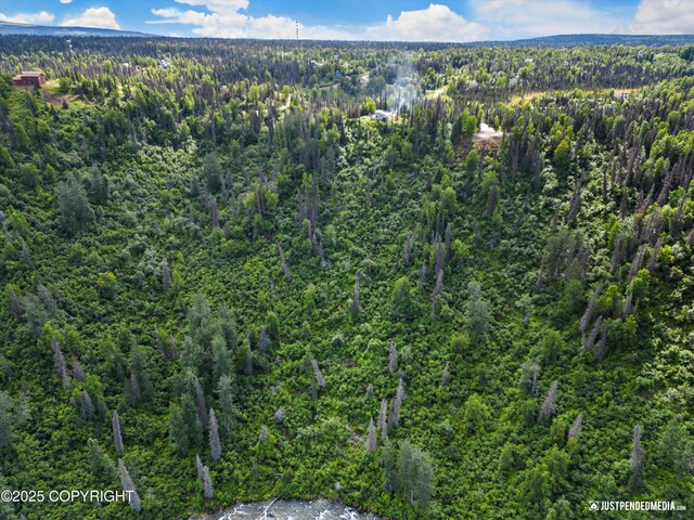 12719 Snowberry Rd, Willow, AK 99688 - photo 3