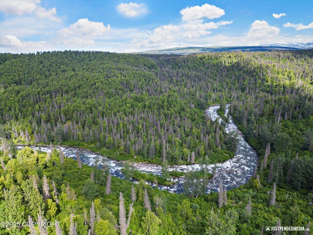 12719 Snowberry Rd, Willow, AK 99688 - photo 7