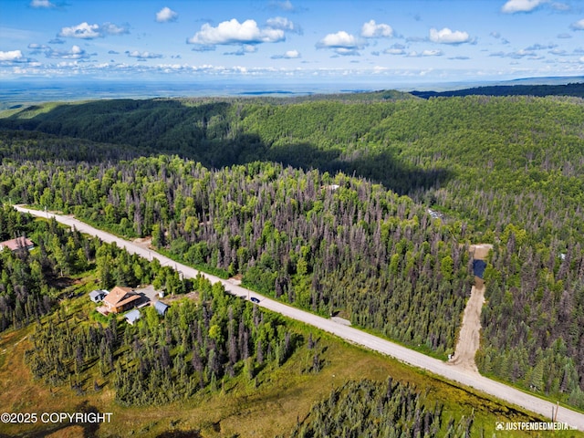 12719 Snowberry Rd, Willow, AK 99688 - photo 9