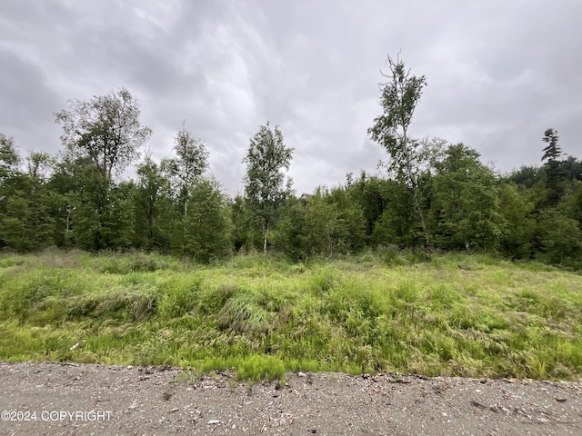 1581 Bay View Dr, Wasilla, AK 99654