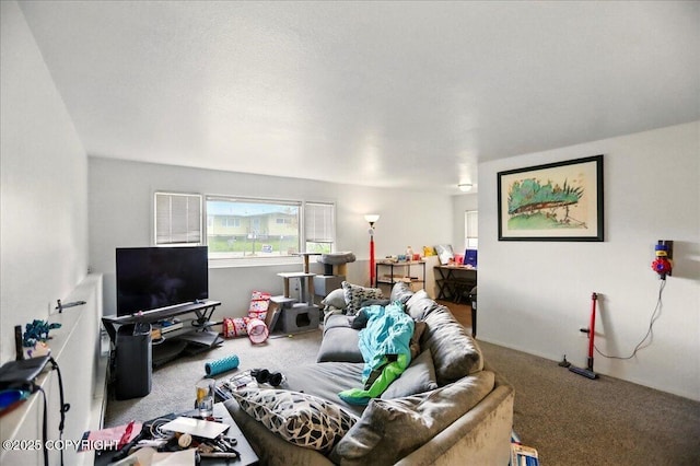 4109 Garfield St, Anchorage, AK 99503 - living room featuring carpet floors