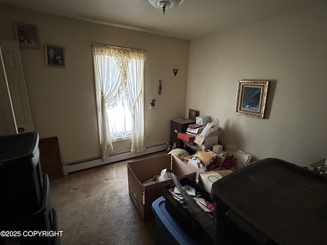315 On Par Ln, Soldotna, AK 99669 - bedroom with baseboard heating and carpet floors