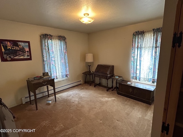 315 On Par Ln, Soldotna, AK 99669 - sitting room with a baseboard heating unit, plenty of natural light, carpet flooring, and a textured ceiling