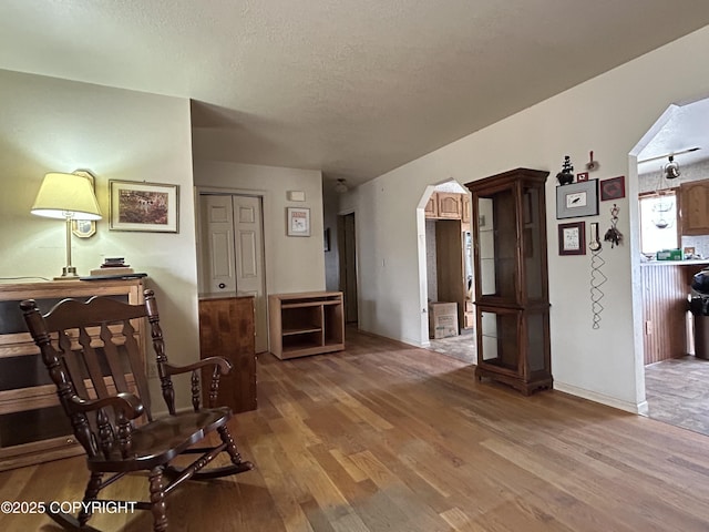 315 On Par Ln, Soldotna, AK 99669 - living area with arched walkways, wood finished floors, and a textured ceiling