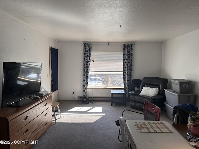 3220 Timberline Ct Unit 207, Ketchikan, AK 99901 - living room featuring a textured ceiling and light carpet