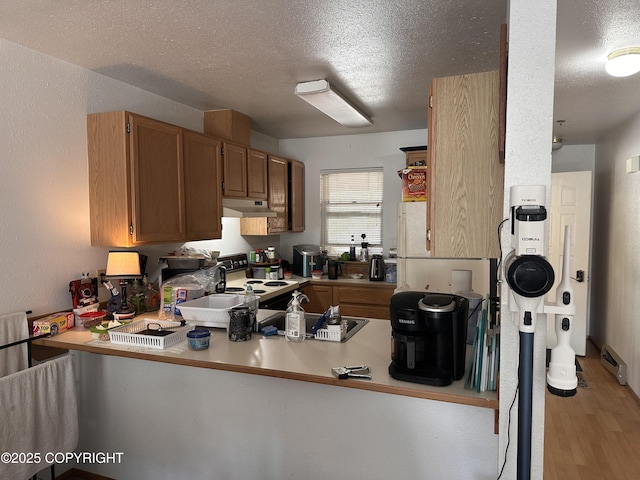 3220 Timberline Ct Unit 207, Ketchikan, AK 99901 - kitchen with under cabinet range hood, electric range, a peninsula, light wood-type flooring, and a textured ceiling