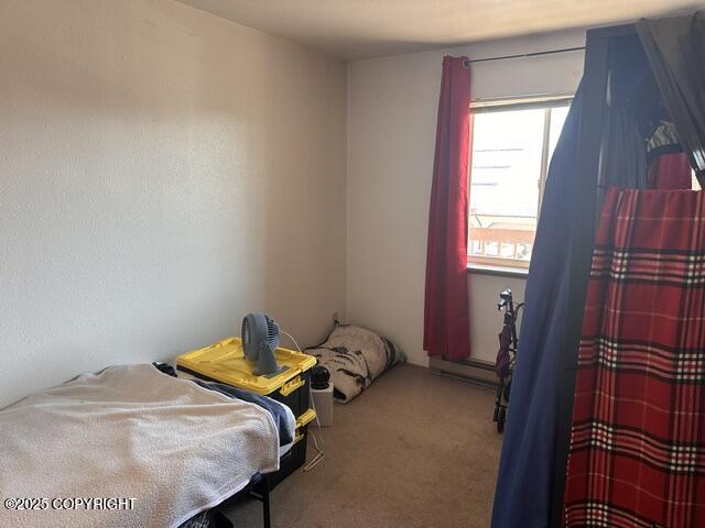 3220 Timberline Ct Unit 207, Ketchikan, AK 99901 - bedroom with carpet floors