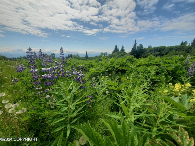 47275 E End Rd, Homer, AK 99603