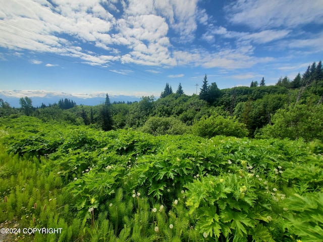 47275 E End Rd, Homer, AK 99603