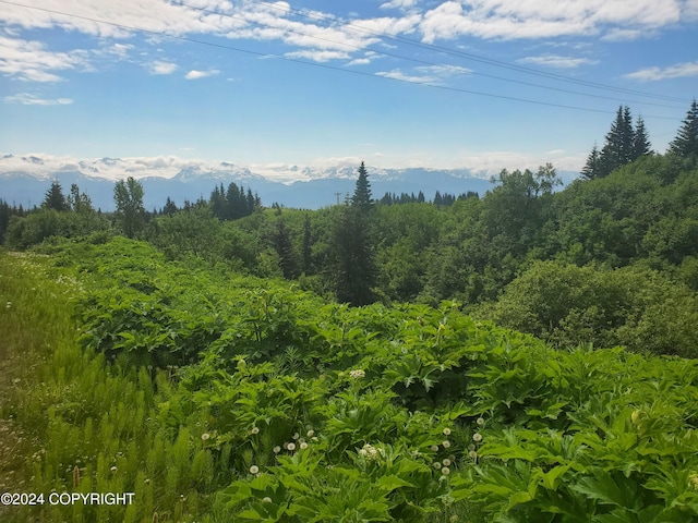 47275 E End Rd, Homer, AK 99603