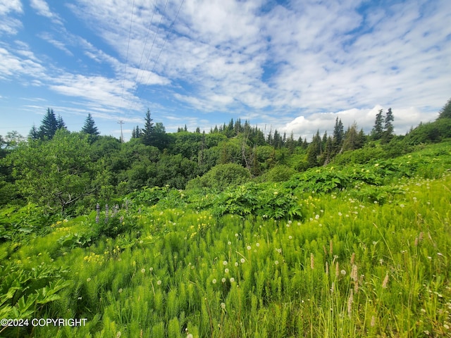 47275 E End Rd, Homer, AK 99603