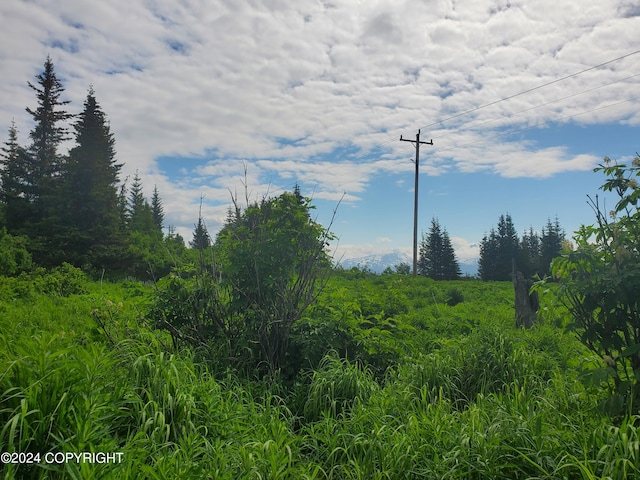 47275 E End Rd, Homer, AK 99603