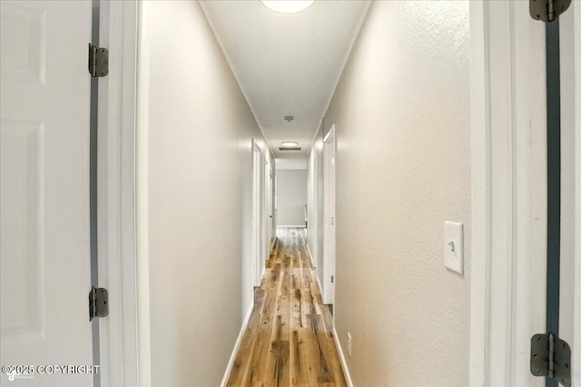3624 E 16th Ave, Anchorage, AK 99508 - hall featuring light wood finished floors and baseboards