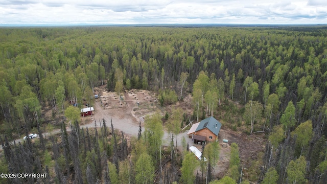bird's eye view of a forest