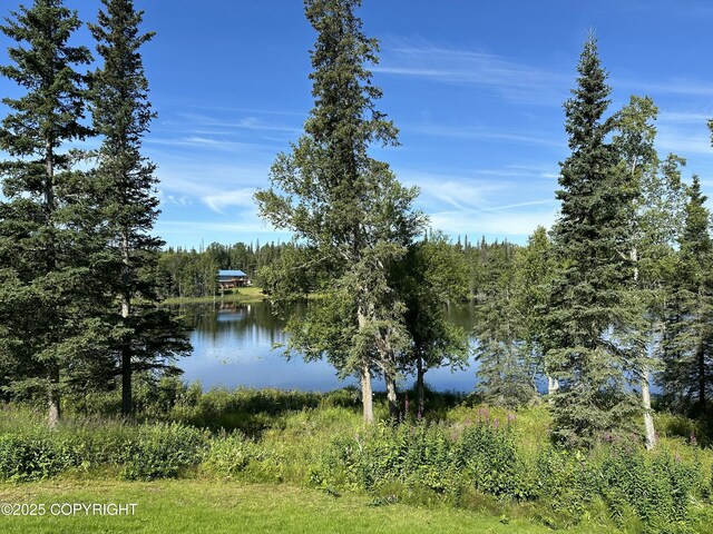 53578 Bell Ave, Nikiski/North Kenai, AK 99611 - water view featuring a forest