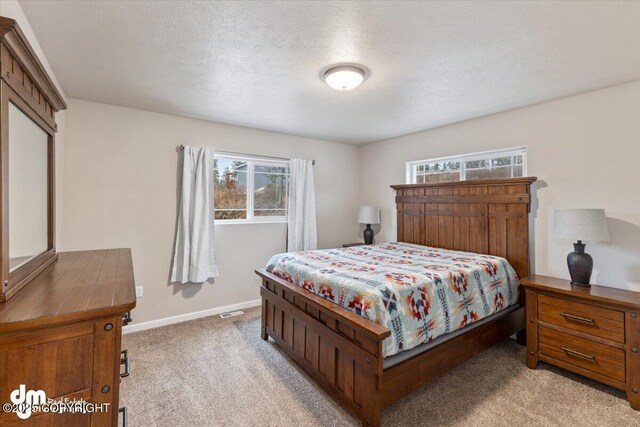 53578 Bell Ave, Nikiski/North Kenai, AK 99611 - bedroom with multiple windows, light colored carpet, baseboards, and a textured ceiling