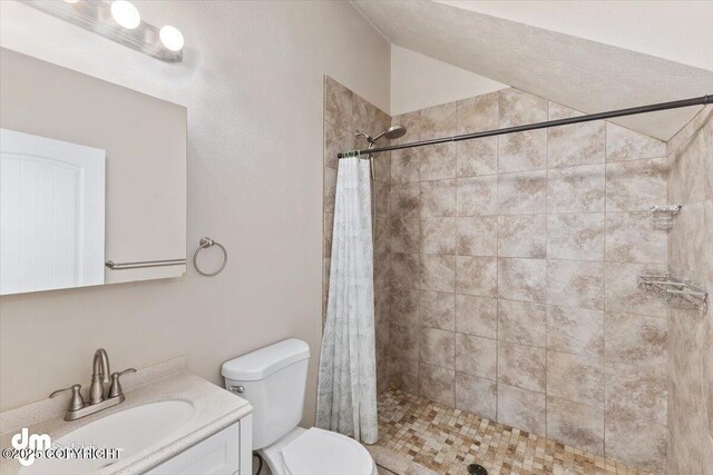 53578 Bell Ave, Nikiski/North Kenai, AK 99611 - bathroom with a stall shower, toilet, and vanity