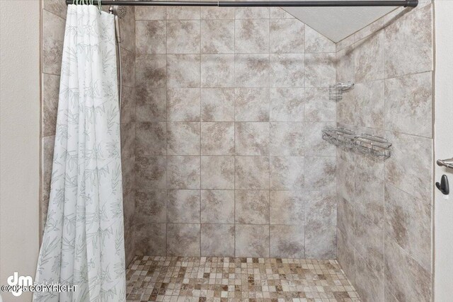 53578 Bell Ave, Nikiski/North Kenai, AK 99611 - bathroom with tiled shower