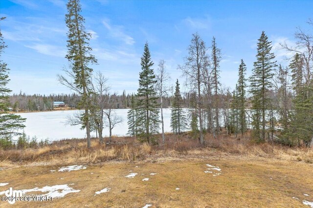 53578 Bell Ave, Nikiski/North Kenai, AK 99611 - water view featuring a forest