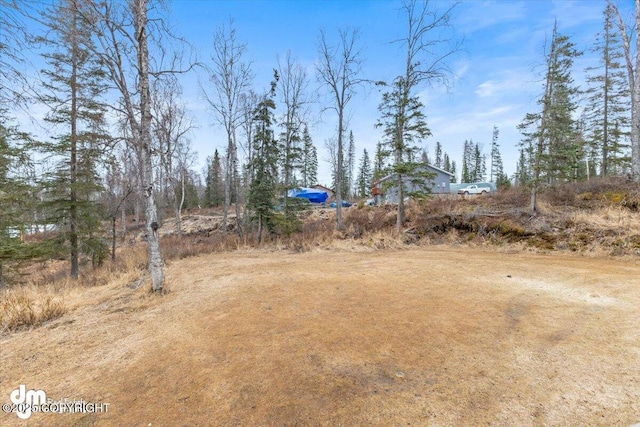 53578 Bell Ave, Nikiski/North Kenai, AK 99611 - view of yard