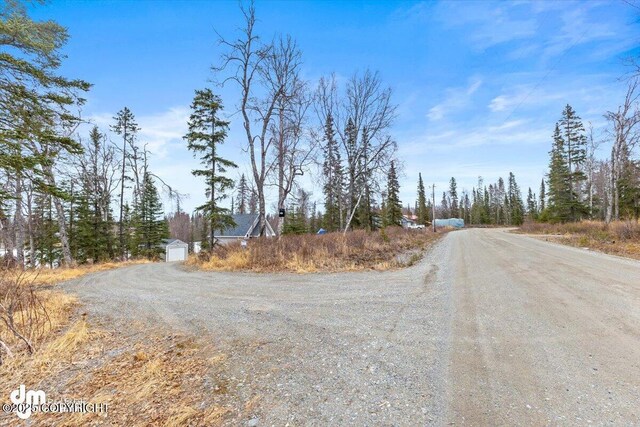 53578 Bell Ave, Nikiski/North Kenai, AK 99611 - view of dirt / gravel road