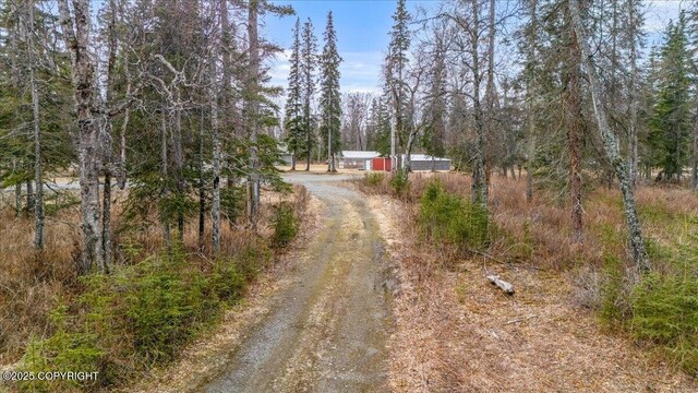 53578 Bell Ave, Nikiski/North Kenai, AK 99611 - view of dirt / gravel driveway featuring a forest view
