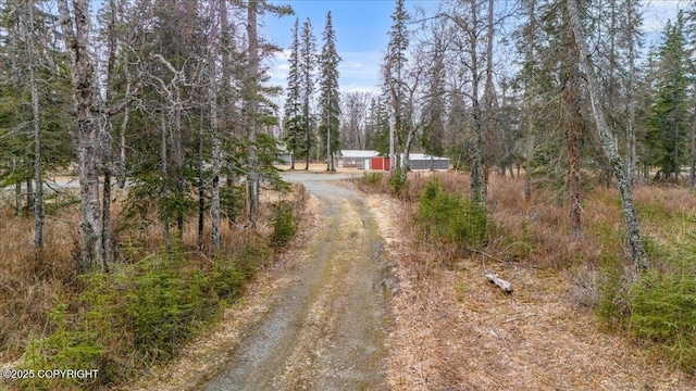 53578 Bell Ave, Nikiski/North Kenai, AK 99611 - view of dirt / gravel driveway featuring a forest view