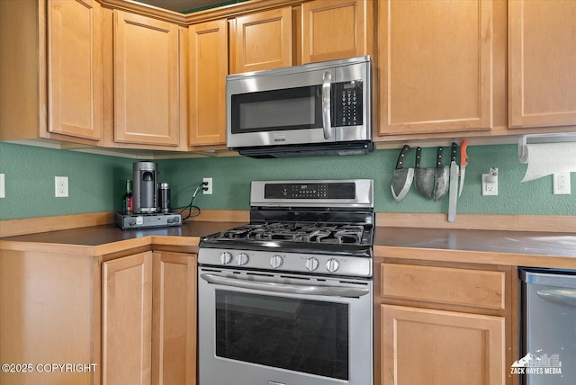 241 N Pasture Pl, Palmer, AK 99645 - kitchen with stainless steel appliances and light brown cabinetry