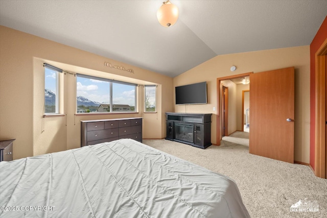 241 N Pasture Pl, Palmer, AK 99645 - bedroom with lofted ceiling, a glass covered fireplace, and carpet